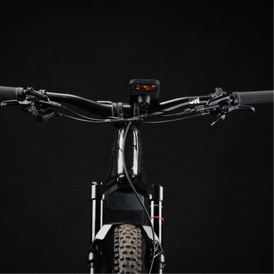 Bike Mount